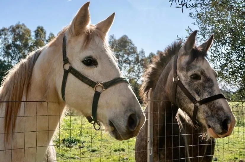 Casa Provence Family & Friends Mare & Natura Alghero